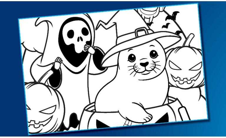 Halloween Colouring-in Competition